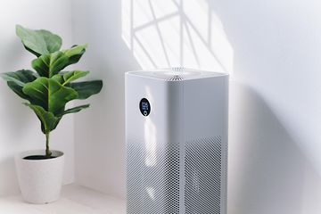 White air purifier a room next to a green plant