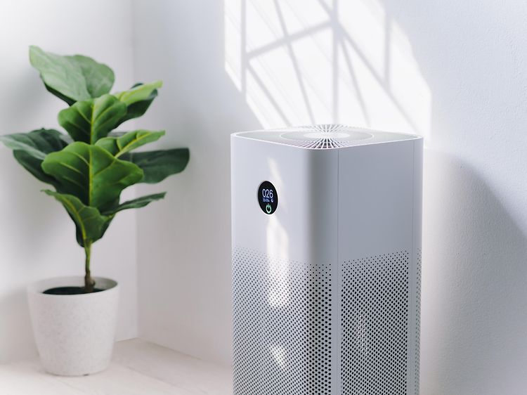 White air purifier a room next to a green plant