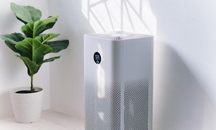 White air purifier a room next to a green plant