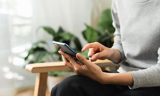 Computing - VPN - Person using their smarthpone in a living room in front of a plant