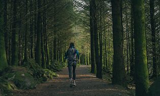 Kvinna som joggar i skogen
