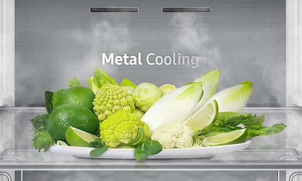 Metal Cooling