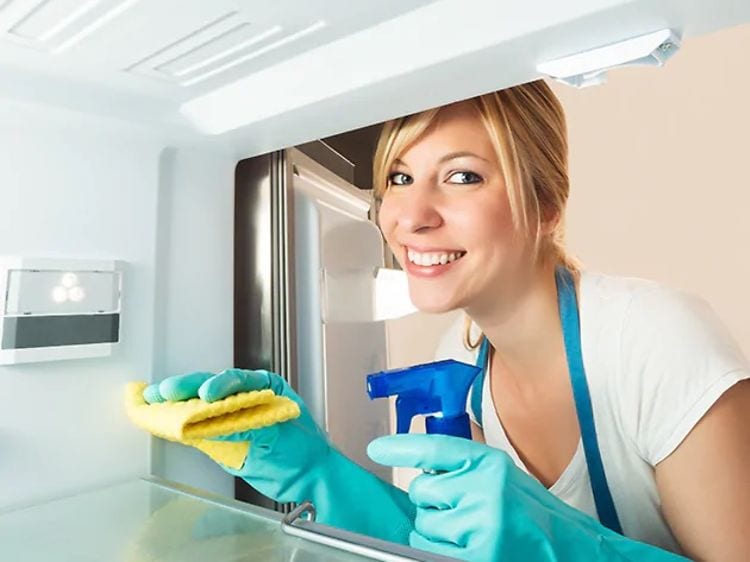 Bild tagen inifrån kylskåpet på kvinna som är redo med tvätthandskar på, spray och disktrasa i högsta hugg. 