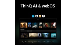LG - TV - ThinQ & webOS