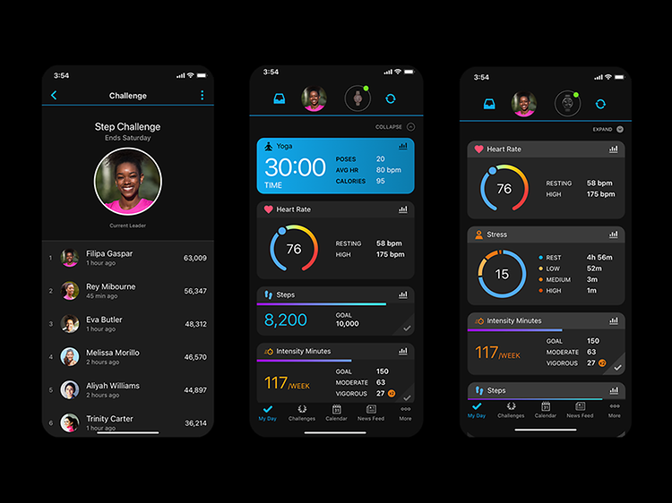 Garmin Connect app is a one-stop shop for health and fitness data