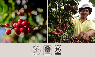 Nespresso is a certified B-Corporation that promotes controlled coffee cultivation
