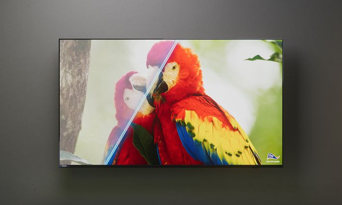 Philips TV - Parots on a TV screen