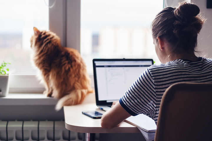 Kvinna på ett hemmakontor som arbetar på en bärbar dator och en katt bredvid henne