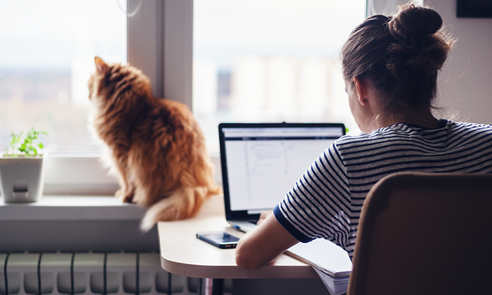 Kvinna på ett hemmakontor som arbetar på en bärbar dator och en katt bredvid henne