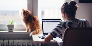 Kvinna på ett hemmakontor som arbetar på en bärbar dator och en katt bredvid henne