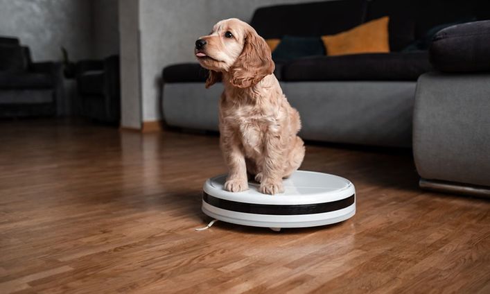 Robot vacuum cleaner - Allergy-friendly and pet friendly