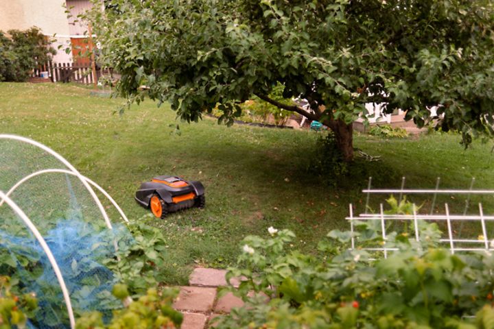 Robot lawn mover - Best in test