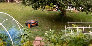 Robot lawn mover - Best in test