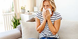 AdobeStock_507049207