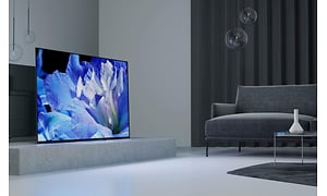 Bild av en TV i ett grå/svart vardagsrum med en soffa och mörka gardiner. Motivet på TV:n är en blå blomma. 