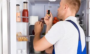 Kylskåpsreparatör med skruvmejseln i högsta hugg ser in i kylskåpet för att hitta felet. Kylskåpet är fullt med mat. 