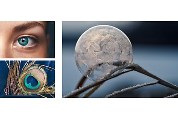 Bildkollage med olika makromotiv, närbild på en kvinnas öga, en påfågel fjäder och en snöflinga på en gren.
