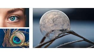 Bildkollage med olika makromotiv, närbild på en kvinnas öga, en påfågel fjäder och en snöflinga på en gren.