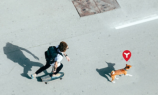 En man på skateboard och en hund med tracking symbol över huvudet.
