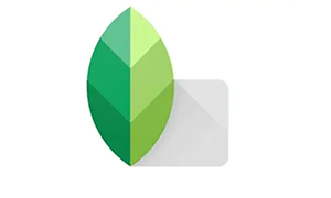 Snapseed logotyp.