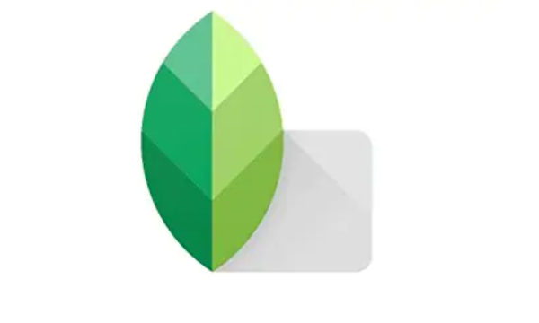 Snapseed logotyp.