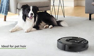 En hund ligger i ett vardagsrum på en matta framför en fåtölj och ser på en robotdammsugare som städar på mattan. 