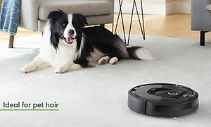 En hund ligger i ett vardagsrum på en matta framför en fåtölj och ser på en robotdammsugare som städar på mattan.